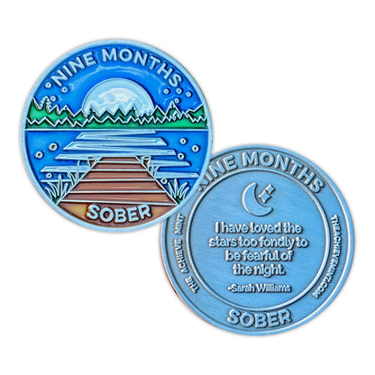 5 coin bundle: "Celebrate every 3 months" milestones to 1 year - The Achieve Mint