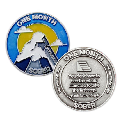 5 coin bundle: "Celebrate every 3 months" milestones to 1 year - The Achieve Mint