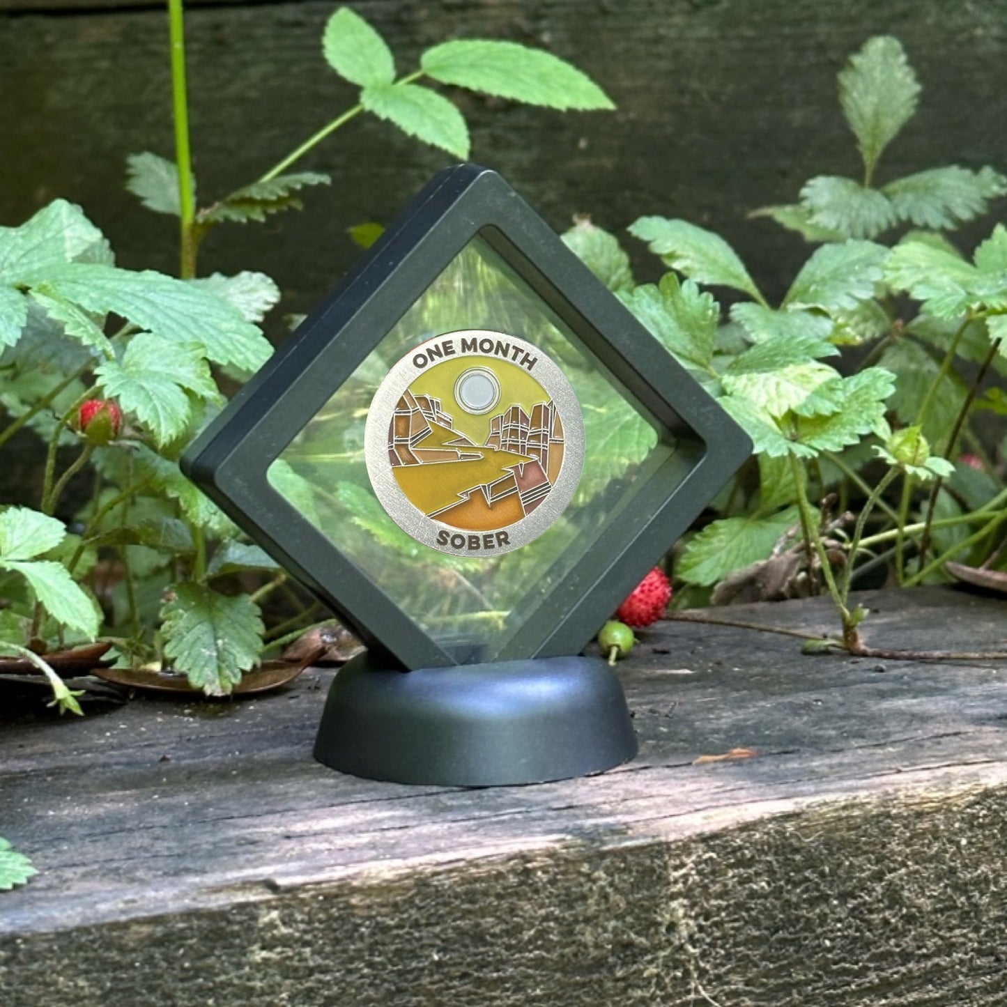 Custom Color Desert Canyon sobriety coin