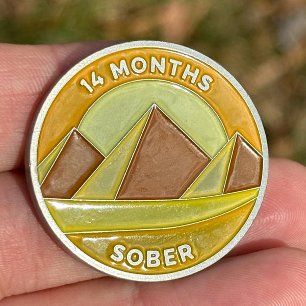 Fourteen Months Sober sobriety coin Coin The Achieve Mint Coin only 