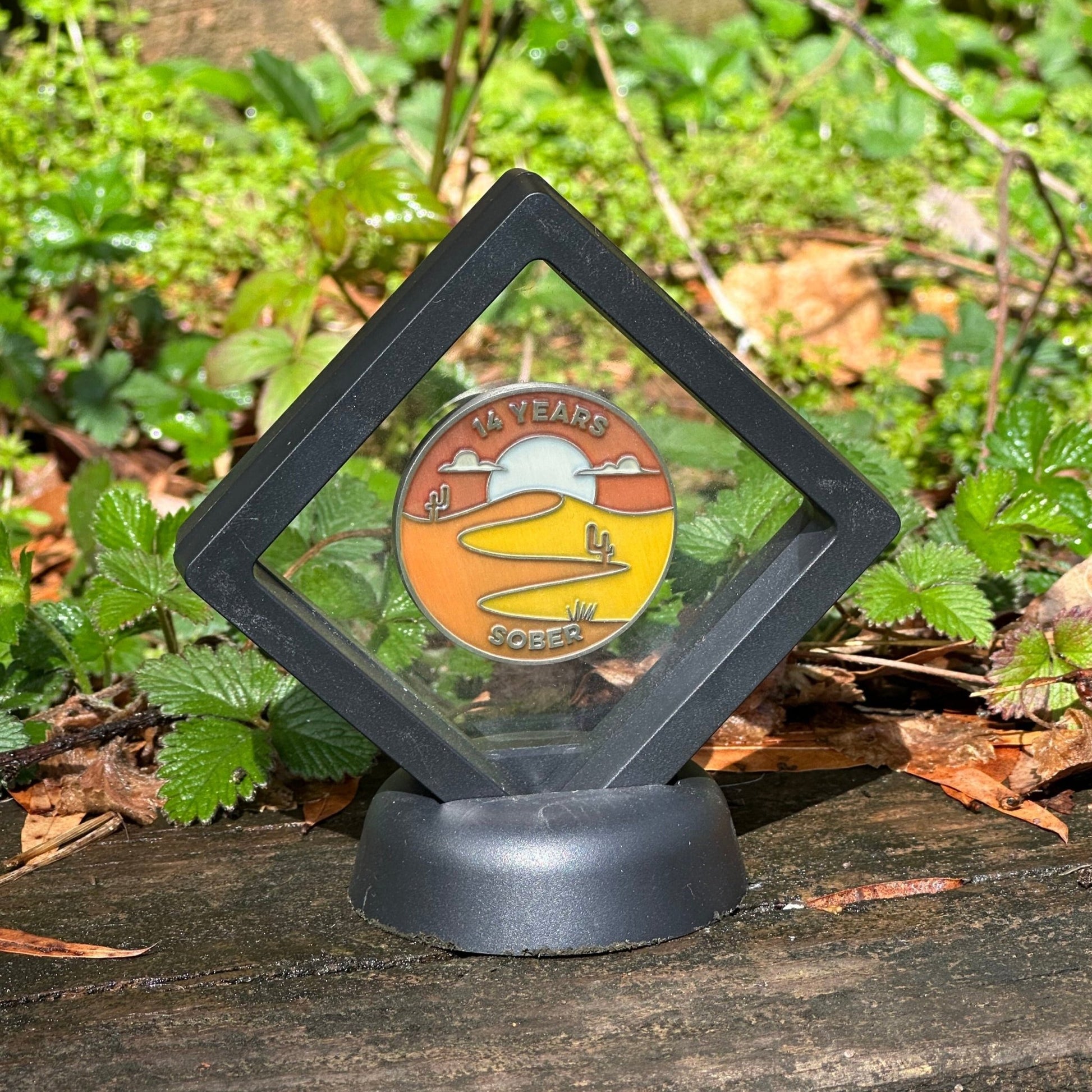 Fourteen Years Sober sobriety coin - The Achieve Mint