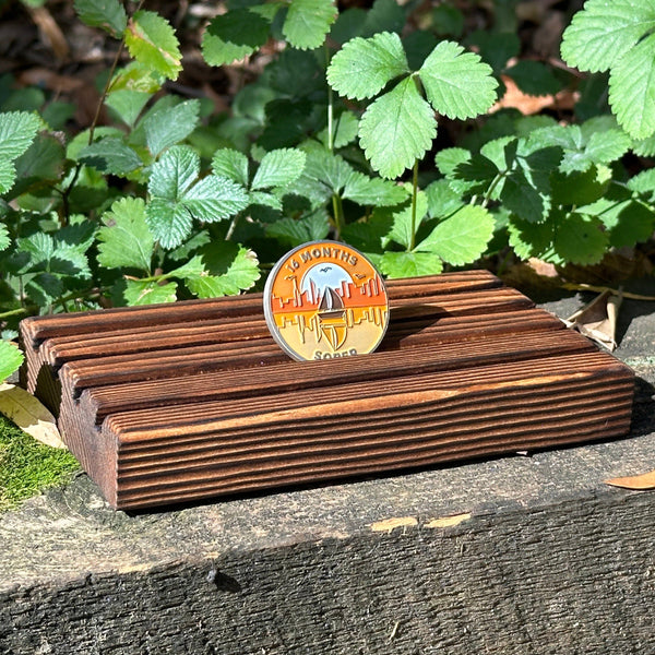 Sixteen Months Sober sobriety coin Coin The Achieve Mint Coin and 4 row wooden display 